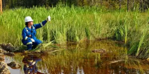 Nutrient & Water Cycling