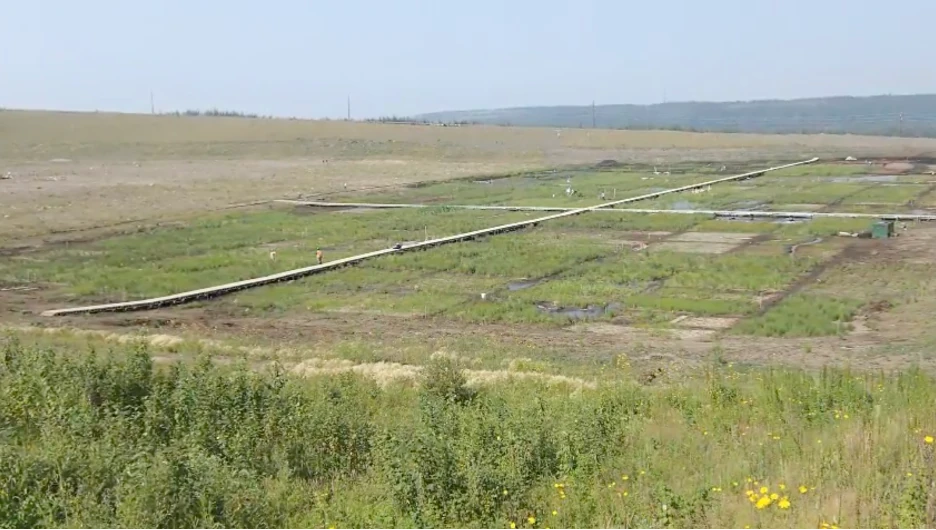 Successful fen creation and ongoing research as seen through the Nikanotee and Sandhill fens